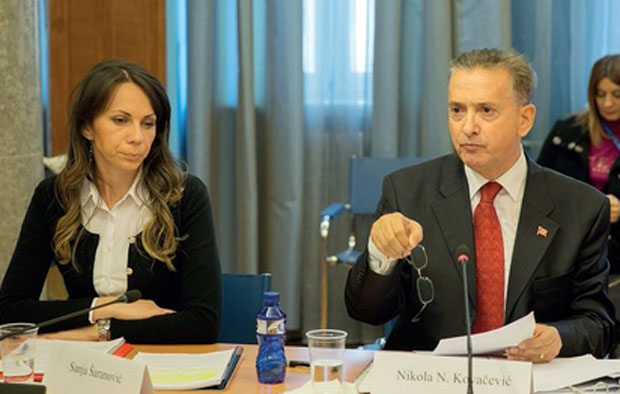 Кандидатуре у ЦГ: Фалсификовали и реиса!